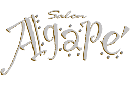 SALON AGAPE INC