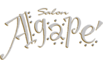 SALON AGAPE INC