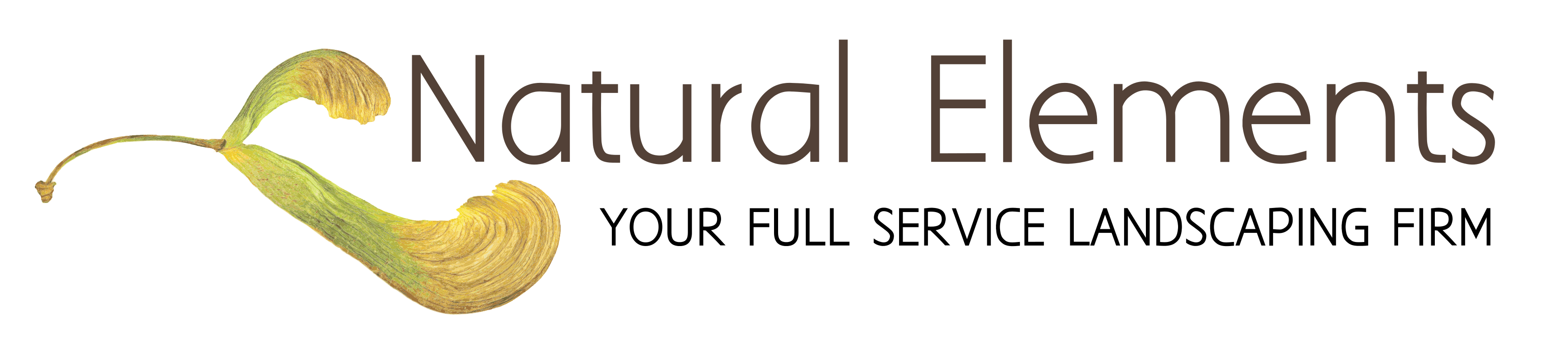 Natural Elements MD Inc