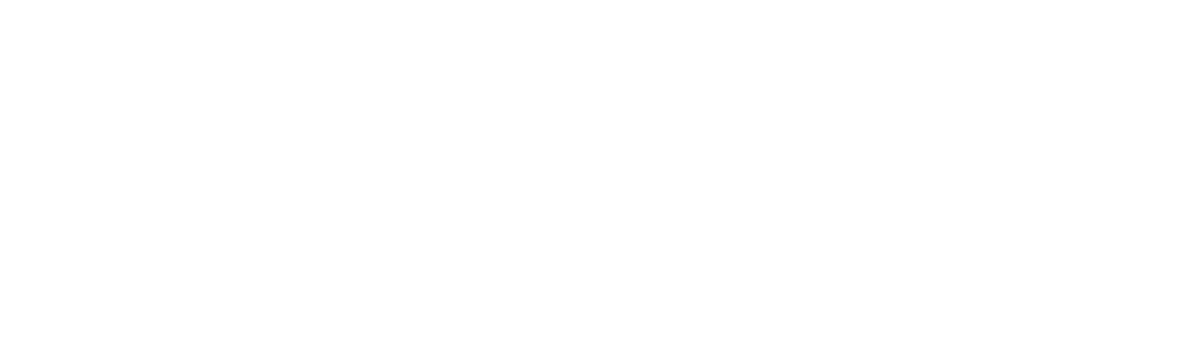CERTES NETWORKS INC