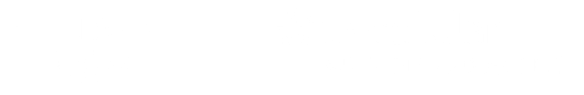 Appliance Plus Inc