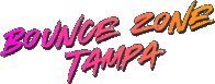 BOUNCE ZONE TAMPA INC