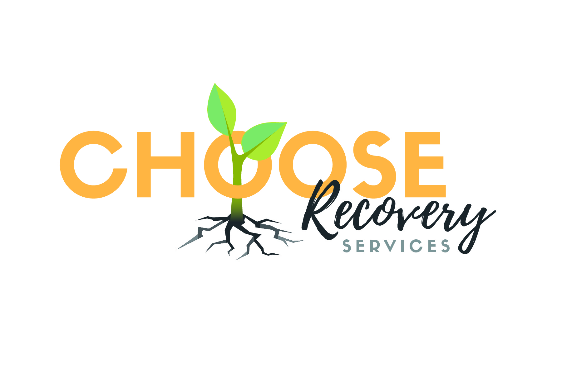 Choose Recovery Services
