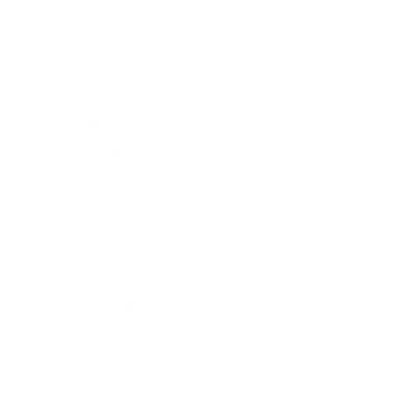 RACER NETWORK LLC