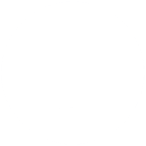 THE SPRINGS RESTAURANT LLC