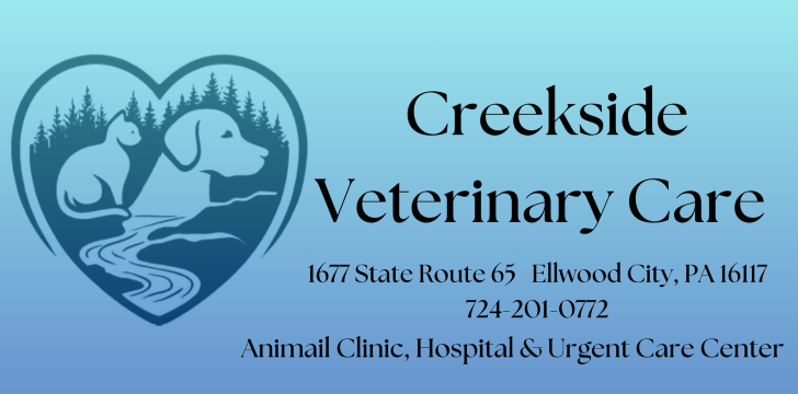 CREEKSIDE VETERINARY CARE INC