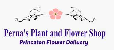 PERNAS PLANT & FLOWER SHOP INC