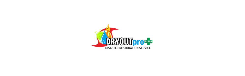 DRYOUTpro PLUS