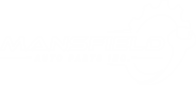 Mansfield Auto Parts Inc