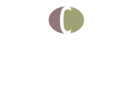 Bridgeport Hotel Group LLC