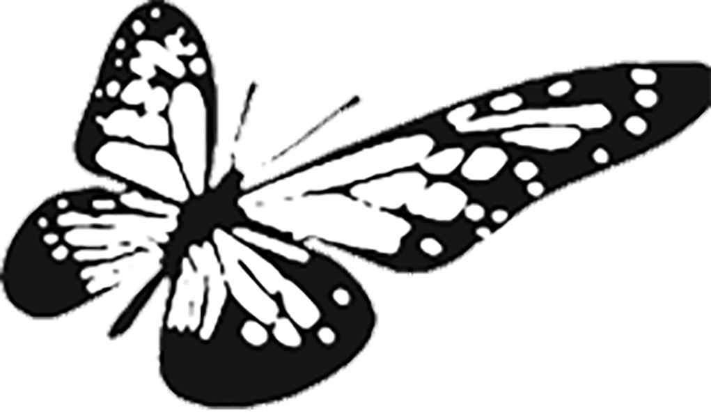 Kaleidoscope Landscaping Inc