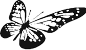 Kaleidoscope Landscaping Inc