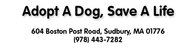 SAVE A DOG INC
