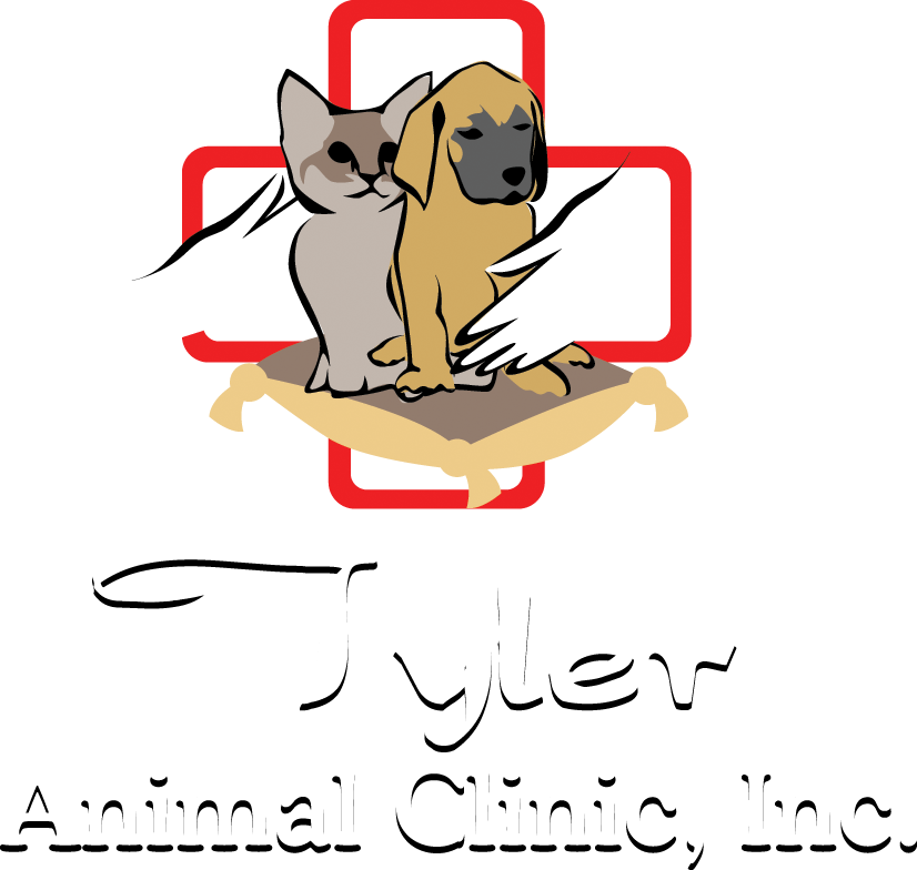 TYLER ANIMAL CLINIC CORP