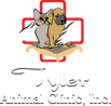TYLER ANIMAL CLINIC CORP