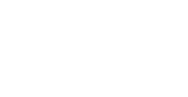 Bold New Solutions - BNS Power