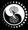 SYMMETRY AND BALANCE LLC