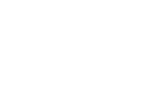 Caton Auto Clinic Inc