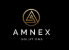 AMNEX SOLUTIONS CORP