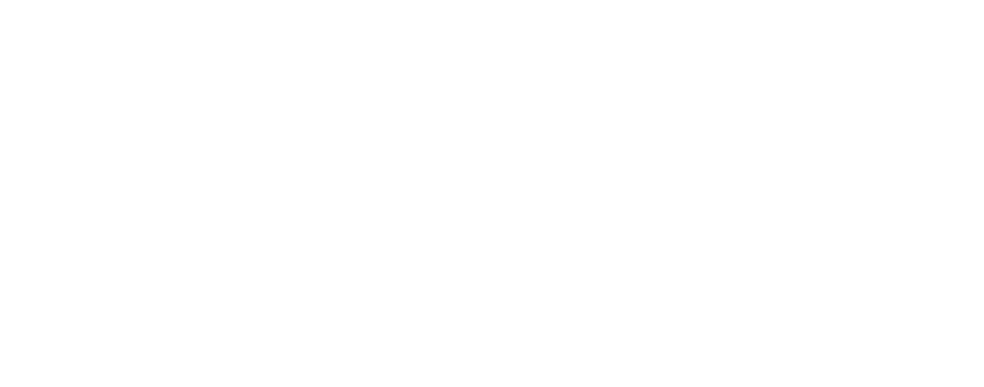 CELESTIAL INNOVATIONS GROUP LLC