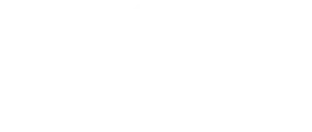 Select Development Group LLC