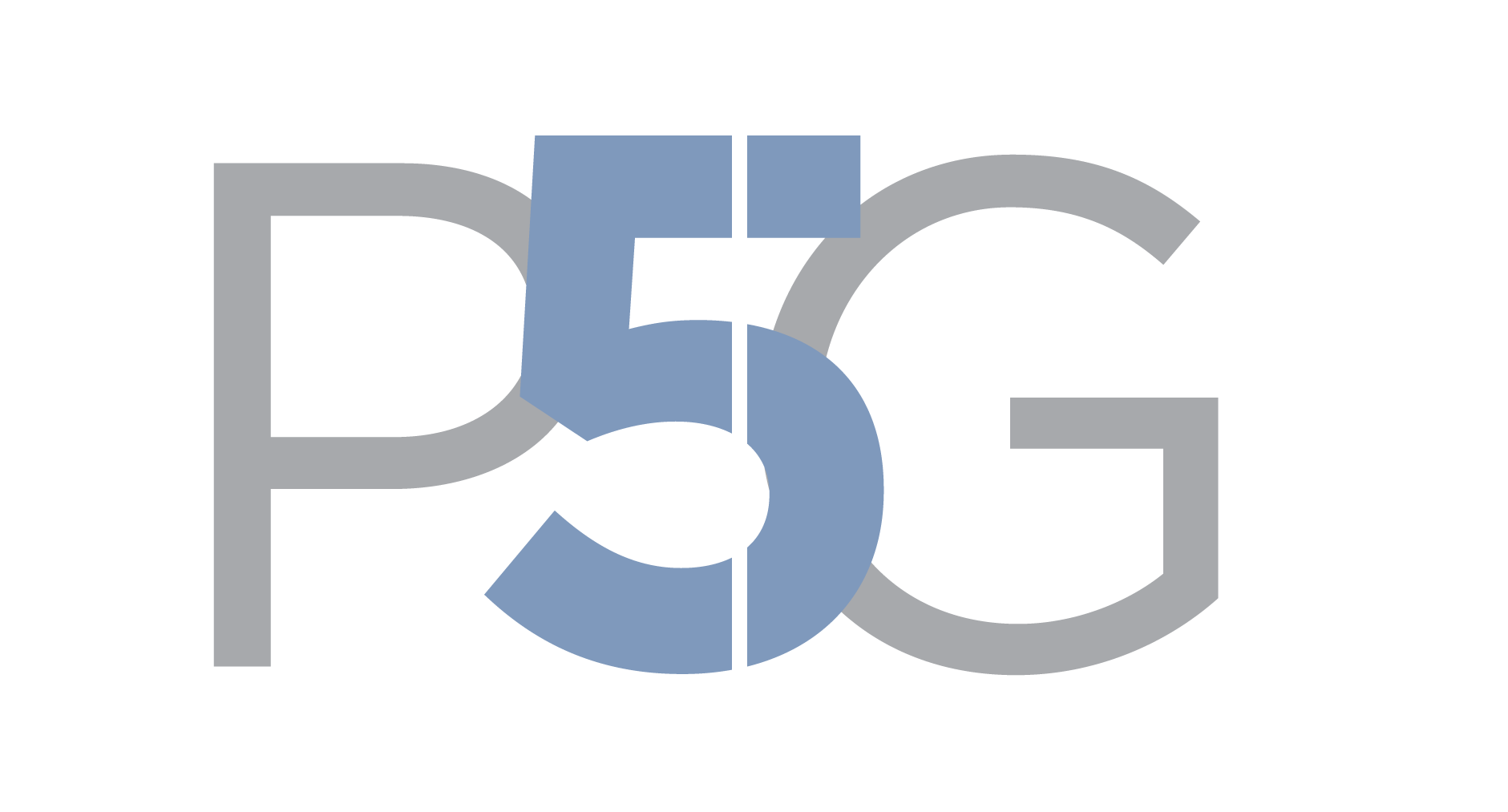PAR 5 GROUP LLC