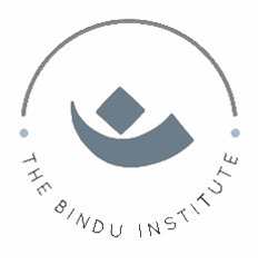 The Bindu Institute LLC