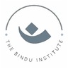 The Bindu Institute LLC