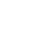 Madison's Niche/D.K.Brothers by Madison's Niche