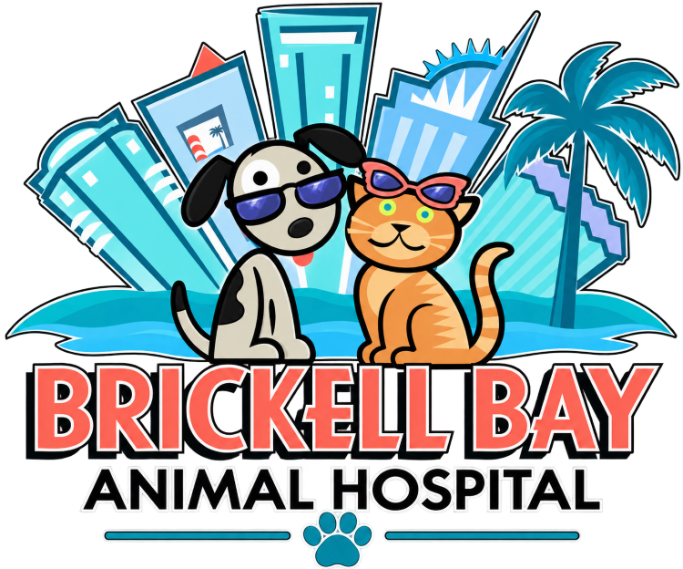 Brickell Bay Animal Hospital